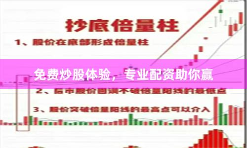 免费炒股体验，专业配资助你赢